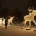 The Christmas lights of Stockholm – #Stockholmsjul